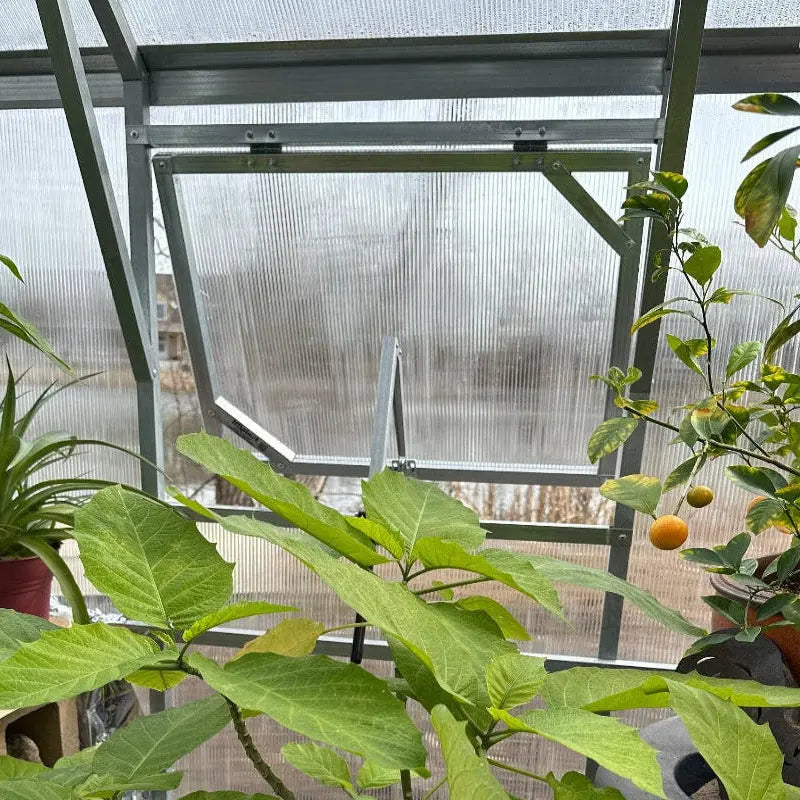 Magnolia Reinforced VENT WINDOW GreenhouseToGrow