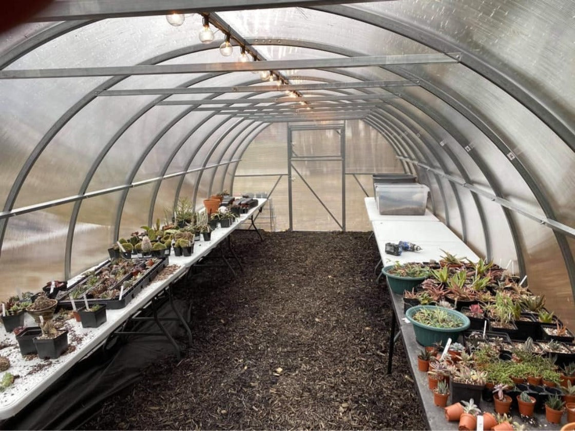 Greenhouse Camellia Reinforced durable all-weather greenhouse kit