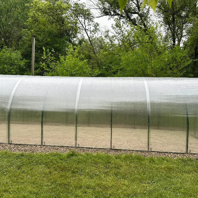 EXTENSION for Camellia Vinterhas Double Arched Reinforced 10'W up to 52'L GreenhouseToGrow