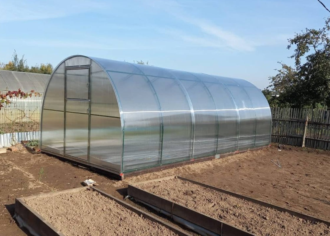 Backyard Camellia Vinterhas double arch reinforced durable all-weather greenhouse kit