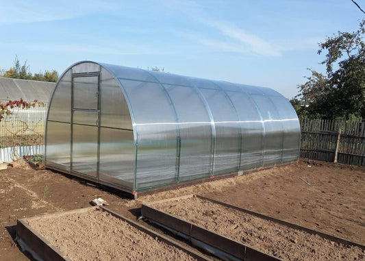 Backyard Camellia Vinterhas double arch reinforced durable all-weather greenhouse kit