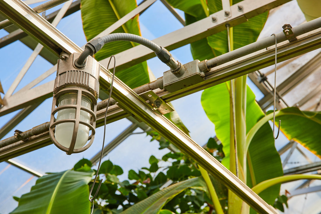 Easy Upgrades to Make Your Greenhouse Work Smarter