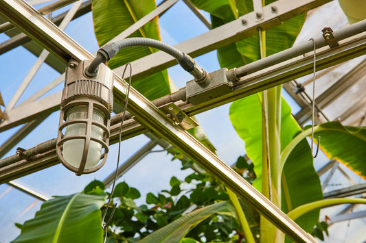 Easy Upgrades to Make Your Greenhouse Work Smarter GreenhouseToGrow