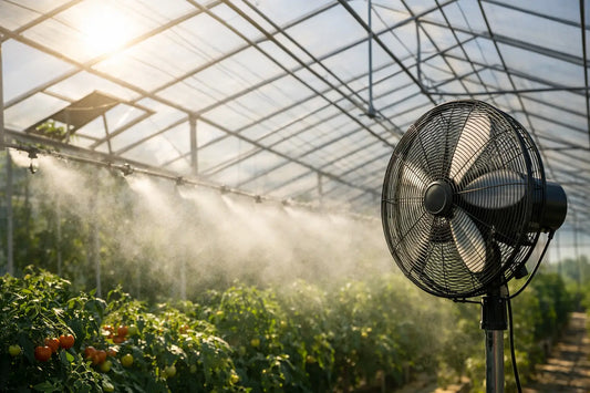 How to Cool Greenhouse Summer Heat Fast