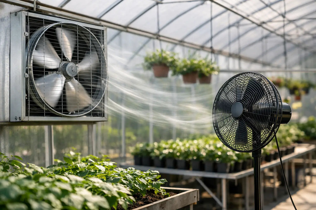 Best Greenhouse Fans for Airflow