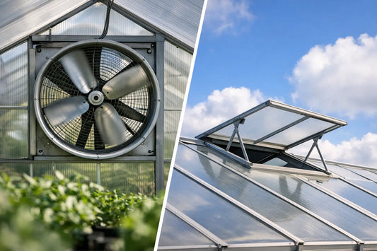 Greenhouse Fan Versus Roof Vent: Which Works?