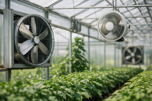 Greenhouse Fan Placement Guide That Works