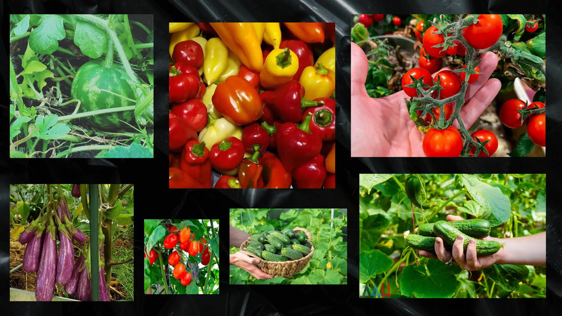 Why Reinforced Premium Polycarbonate GreenhousesAre the Best Choice for Year-Round Growing GreenhouseToGrow