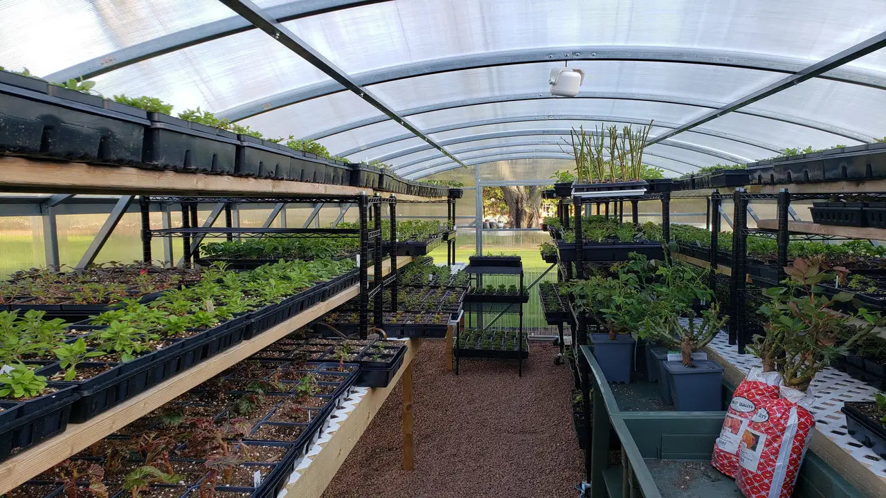 Heavy-duty greenhouse kit with galvanized steel frame and polycarbonate twin walls, designed to withstand harsh weather conditions.