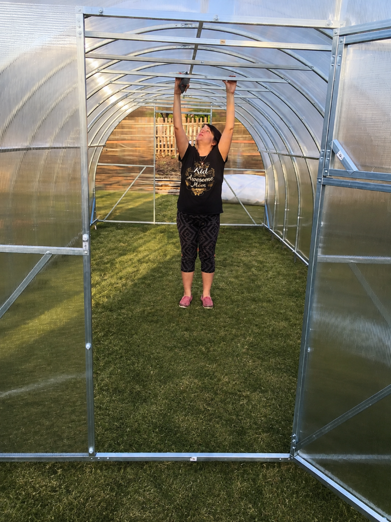 Camellia reinforced polycarbonate greenhouse interior showing galvanized steel roof frame and standing height